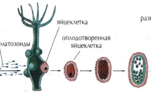 Kraken это гидра