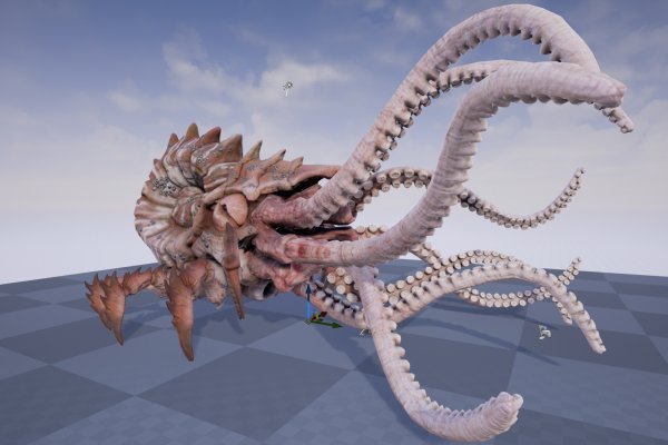 Kraken official