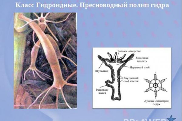 Кракен тор gigageek ru