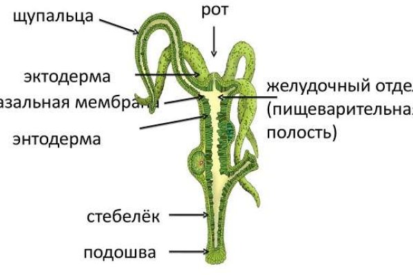 Как попасть на сайт кракен